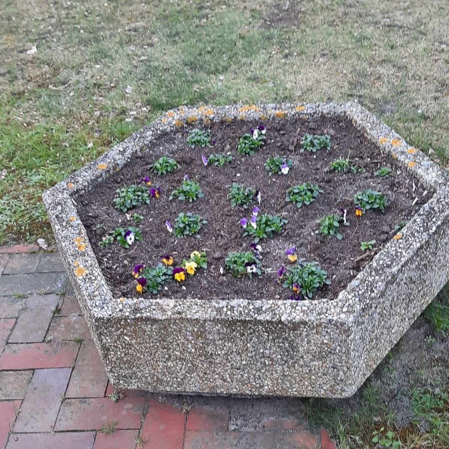 8Stk Betonblumenkästen