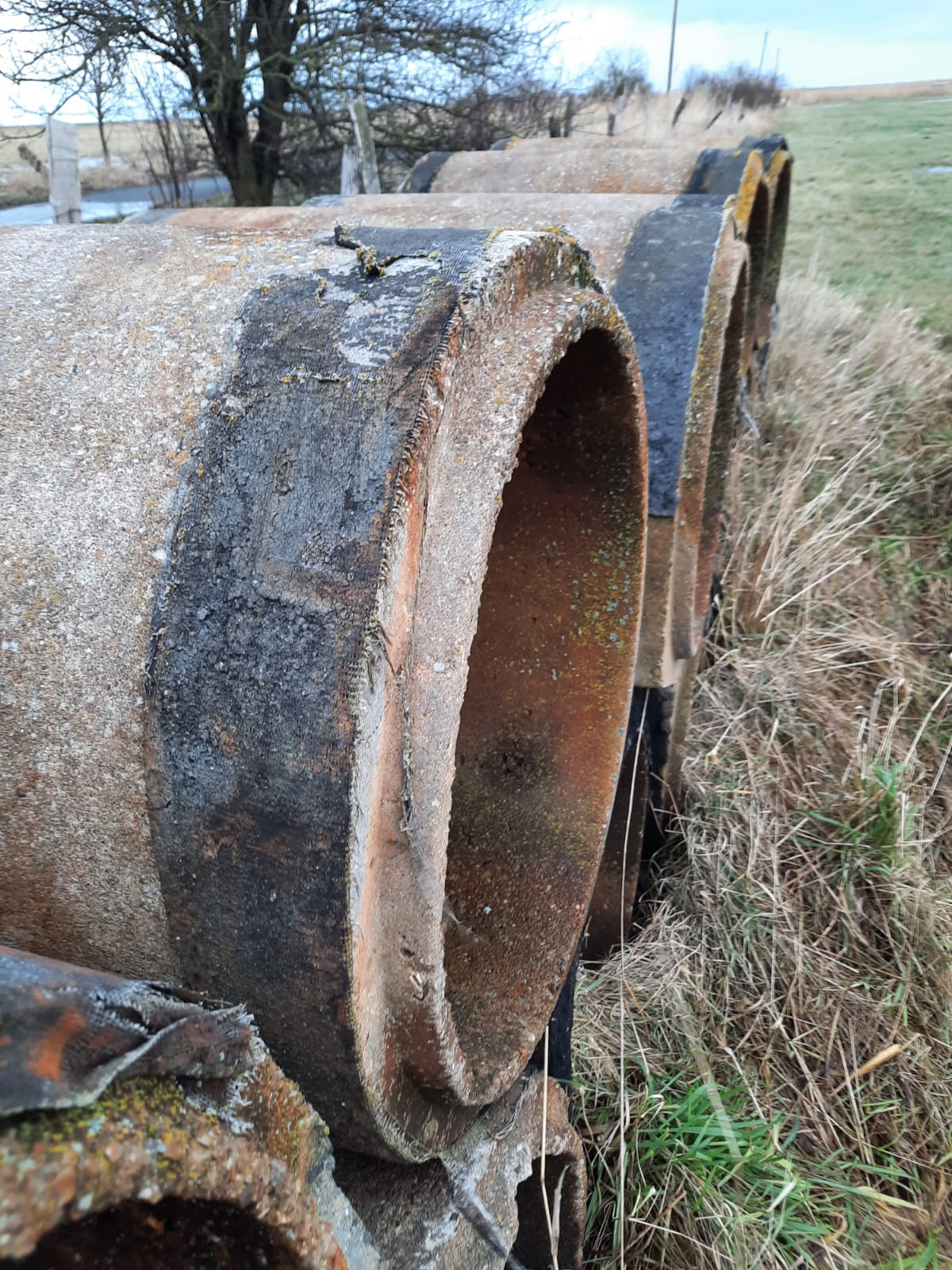 12Stk Betonrohr DDR TGL 9892 TT